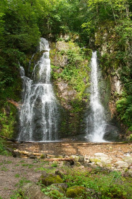 0067Cascade Wildenstein.jpg - SONY DSC